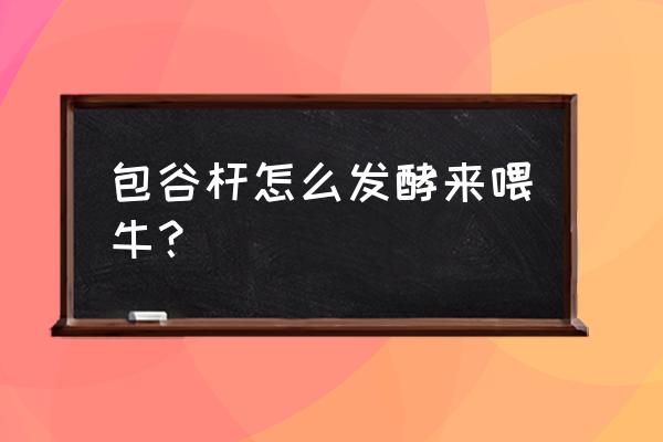 玉米秸秆发酵做饲料的方法和步骤 包谷杆怎么发酵来喂牛？