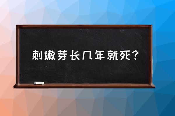 刺嫩芽育苗一亩地需几斤种子 刺嫩芽长几年就死？