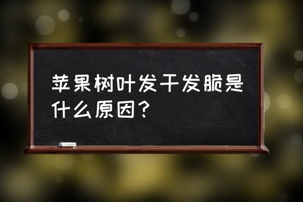 苹果根腐病防治方法 苹果树叶发干发脆是什么原因？