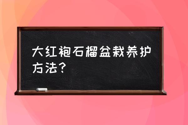 大红袍茶树适合在家种植吗 大红袍石榴盆栽养护方法？