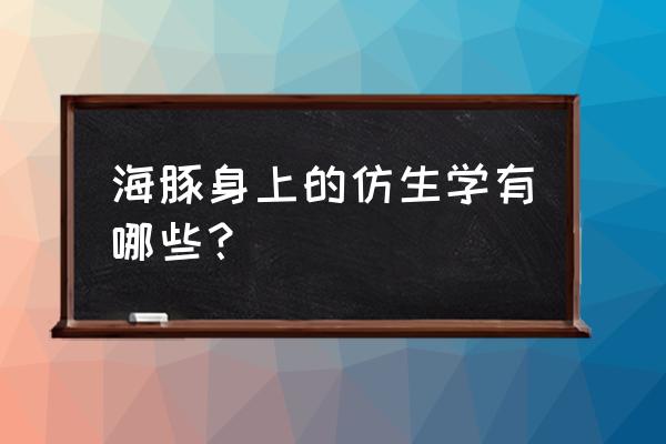 海豚式游泳怎么训练出来的 海豚身上的仿生学有哪些？