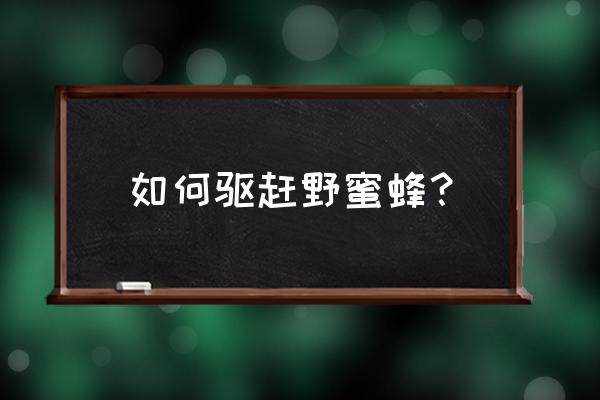 驱蜂回巢的最佳方法 如何驱赶野蜜蜂？