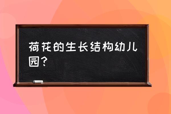 荷塘里卷曲的荷叶 荷花的生长结构幼儿园？