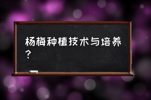 杨梅的栽培技术和施肥管理 杨梅种植技术与培养？