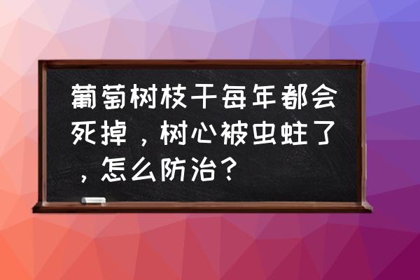 葡萄的病虫防治小技巧 葡萄树枝干每年都会死掉，树心被虫蛀了，怎么防治？