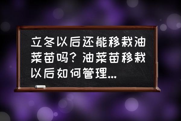 种植头发手术后吃什么好 立冬以后还能移栽油菜苗吗？油菜苗移栽以后如何管理才能高产？