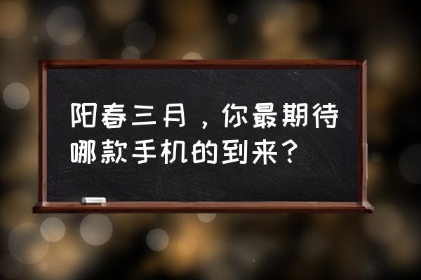 手机拍春天照片技巧 阳春三月，你最期待哪款手机的到来？