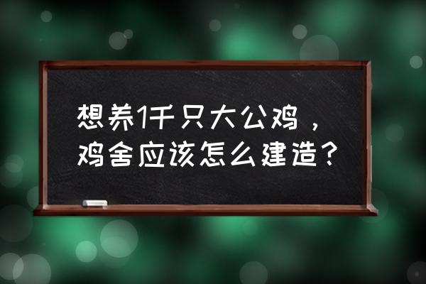 青草炖公鸡正宗做法 想养1千只大公鸡，鸡舍应该怎么建造？