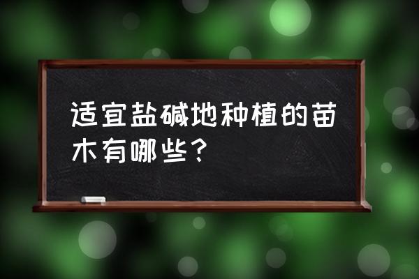 盐碱地绿化苗木种植技术 适宜盐碱地种植的苗木有哪些？