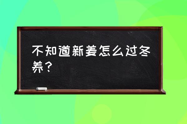 生姜在地里可以过冬吗 不知道新姜怎么过冬养？