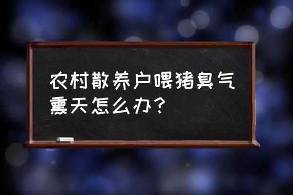 小型猪粪的处理方法 农村散养户喂猪臭气熏天怎么办？