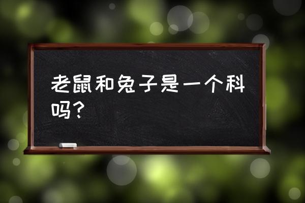 簇状柱形图怎么变成簇状圆锥图 老鼠和兔子是一个科吗？