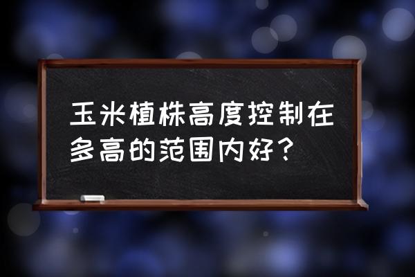 玉米苗大小不齐怎么办 玉米植株高度控制在多高的范围内好？