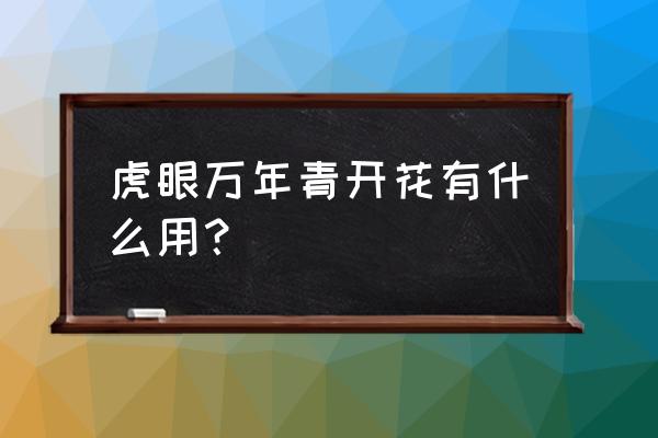 虎眼万年青的正确服用方法 虎眼万年青开花有什么用？