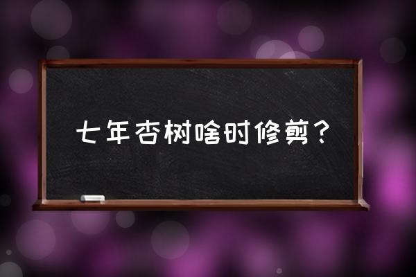 果树夏剪一般几月份剪 七年杏树啥时修剪？