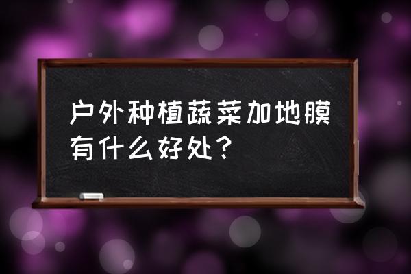 哪些蔬菜不需要地膜 户外种植蔬菜加地膜有什么好处？