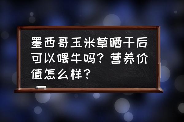 墨西哥玉米草缺点 墨西哥玉米草晒干后可以喂牛吗？营养价值怎么样？