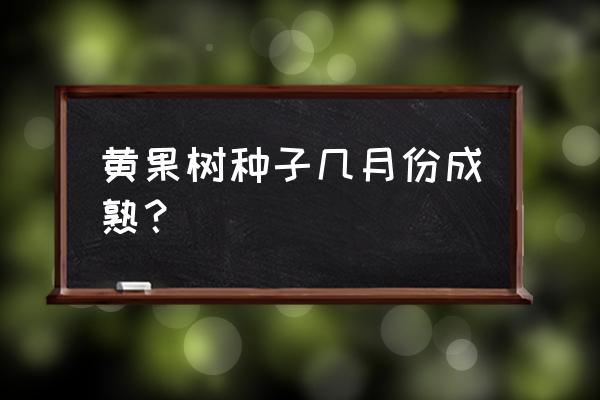 去黄果树瀑布旅游几月去比较好 黄果树种子几月份成熟？