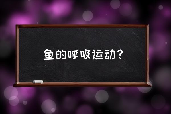 游泳正确换气方法 鱼的呼吸运动？