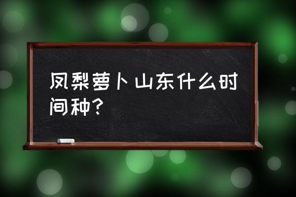 凤梨萝卜熟吃的方法 凤梨萝卜山东什么时间种？