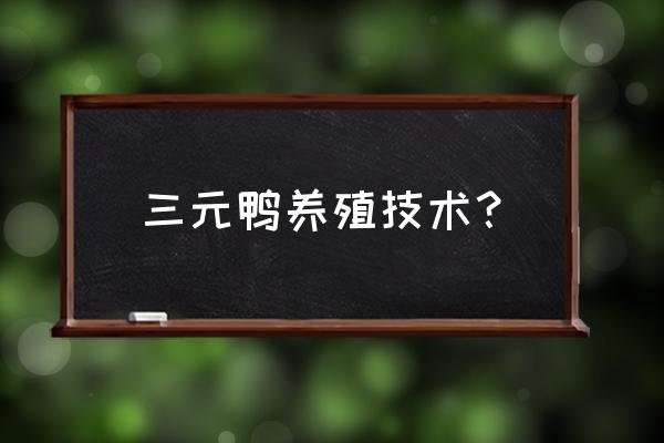 鸭子各阶段的养殖方法 三元鸭养殖技术？