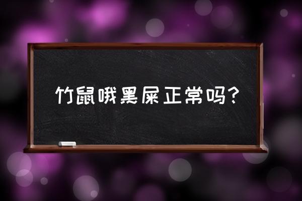 竹鼠粪便怎么样的 竹鼠哦黑屎正常吗？