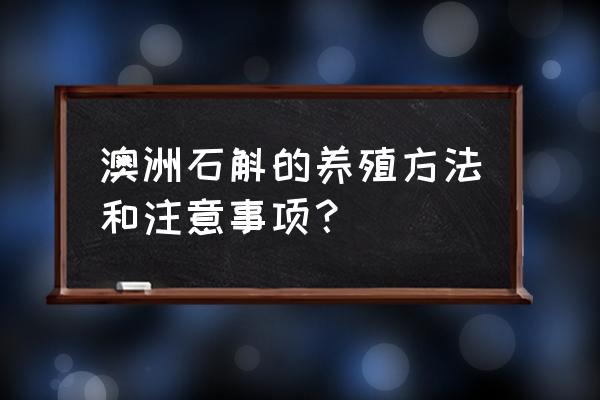 自由行去澳大利亚旅游注意事项 澳洲石斛的养殖方法和注意事项？