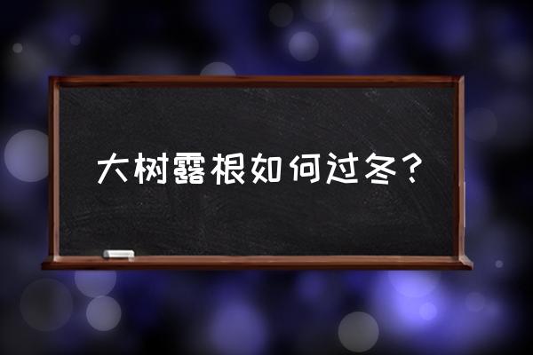 为什么寒冷的冬春季还会日灼 大树露根如何过冬？