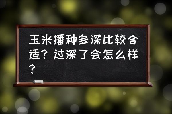 玉米生根壮苗剂用多少 玉米播种多深比较合适？过深了会怎么样？