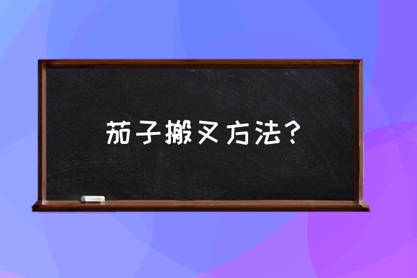 秋茄子整枝打叉方法 茄子搬叉方法？