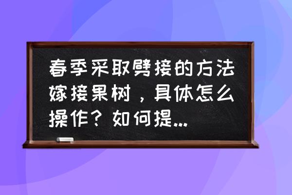 果树常用五种嫁接方法 春季采取劈接的方法嫁接果树，具体怎么操作？如何提高成活率？