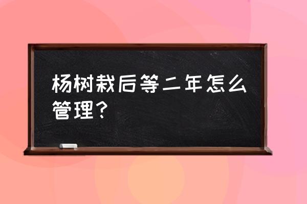 刚栽2年杨树春天怎样管理 杨树栽后等二年怎么管理？