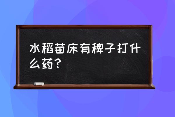 怎样辨别稻苗与稗草 水稻苗床有稗子打什么药？