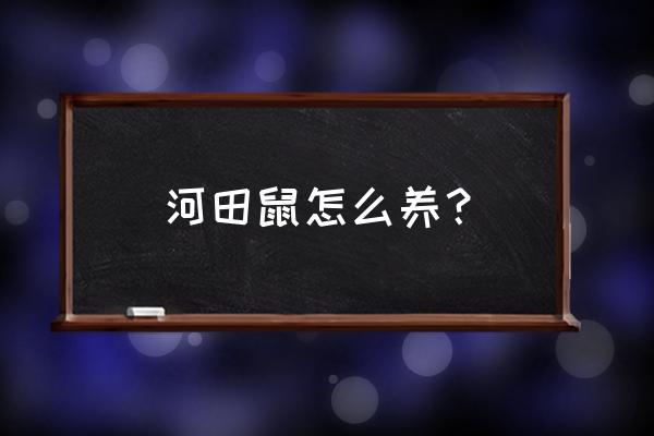 芦苇的养殖方法及注意事项 河田鼠怎么养？