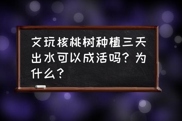 核桃树锯口流水怎么办 文玩核桃树种植三天出水可以成活吗？为什么？