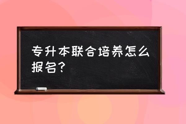 插班生怎样在网上报名 专升本联合培养怎么报名？