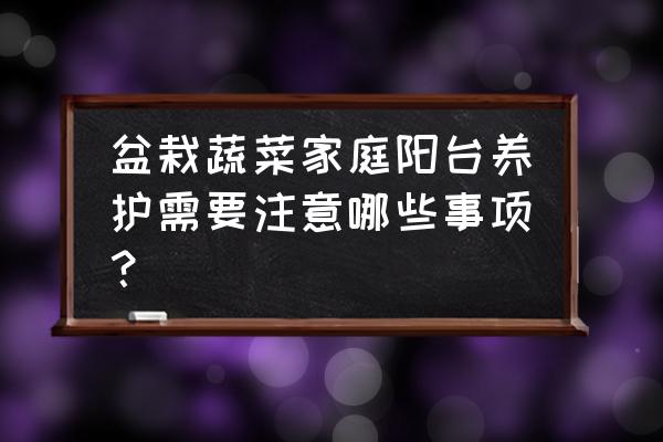 广东封闭式阳台种菜如何育苗 盆栽蔬菜家庭阳台养护需要注意哪些事项？