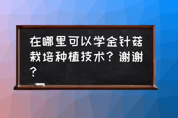 金针菇怎么种植过程图 在哪里可以学金针菇栽培种植技术？谢谢？