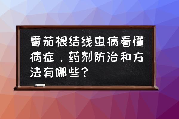 网红柠檬翅根尖最正宗的做法 番茄根结线虫病看懂病症，药剂防治和方法有哪些？