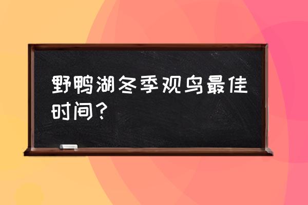 野鸭湖湿地公园旅游攻略 野鸭湖冬季观鸟最佳时间？