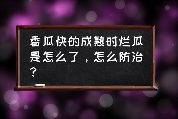 香瓜的好处和害处有哪些 香瓜快的成熟时烂瓜是怎么了，怎么防治？