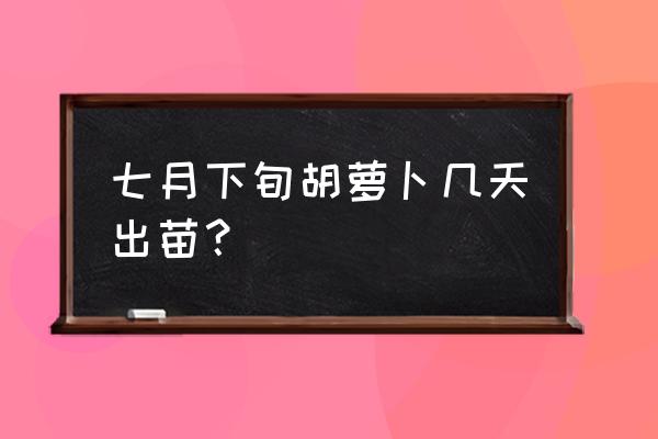 胡萝卜生长过程示意图 七月下旬胡萝卜几天出苗？