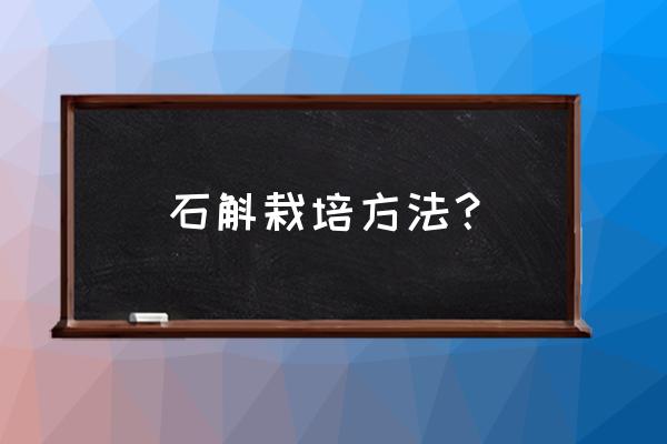 怎样才能种好铁皮石斛 石斛栽培方法？