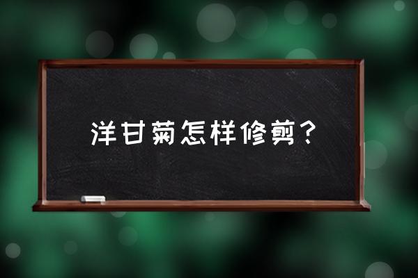 哪种洋甘菊最好养 洋甘菊怎样修剪？