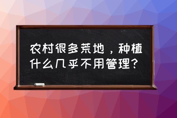 园林植物害虫有哪些 农村很多荒地，种植什么几乎不用管理？