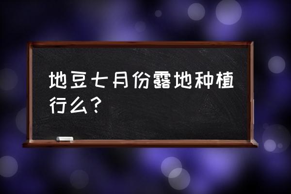 地豆角种植最佳时间 地豆七月份露地种植行么？