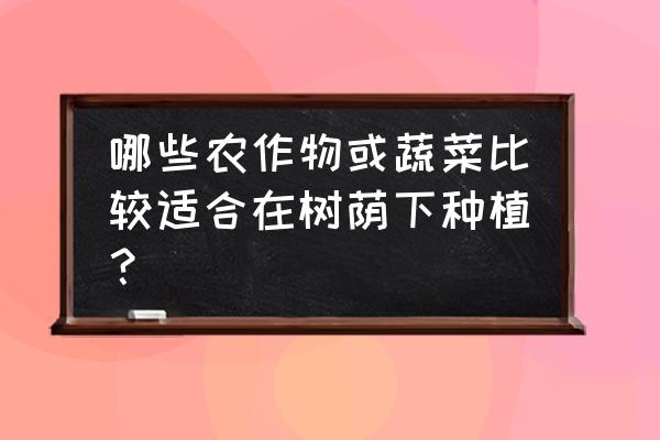 马齿笕的膨大方法 哪些农作物或蔬菜比较适合在树荫下种植？