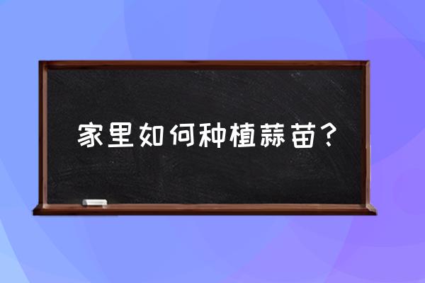 在家里种蒜苗怎么种 家里如何种植蒜苗？