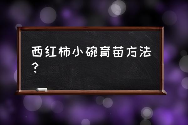 怎么留下西红柿种子 西红柿小碗育苗方法？