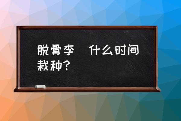 四川脱骨李做法大全 脱骨李  什么时间栽种？